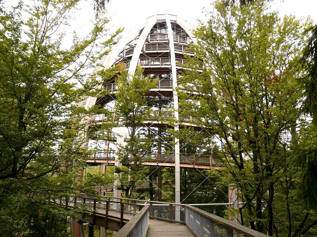 Portrait of Dr. Anna Müller, Neuroscience Expert